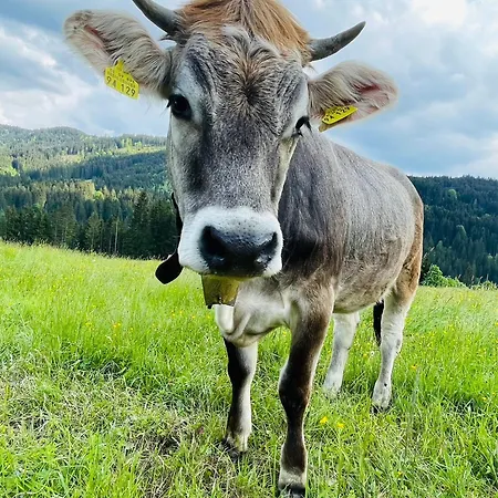 Alpensymphonie Mit 110 M2 Und Sonnigem Balkon Burgberg im Allgäu