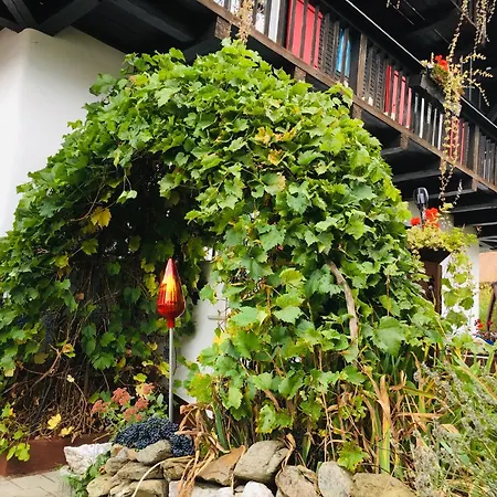 Alpensymphonie Mit 110 M2 Und Sonnigem Balkon